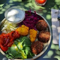 Falafel bowl at Moos Ibiza in Ibiza