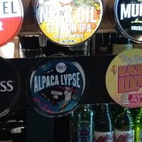 Vegan 👍 at Tap On Tower Street in Harrogate