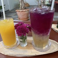 Butterfly Pee Tea at Horizon Cafe in Koh Samui