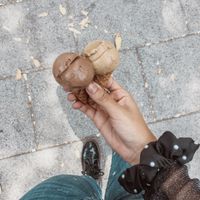   at Nieve de Olla in Mexico City