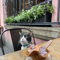   at Nieve de Olla in Mexico City