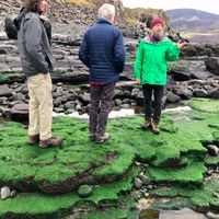 Staffin Beach seeing fossils at Scottish Guided Tours in Stirling