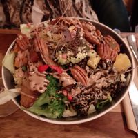 The bowl at Palo Verde in Prague