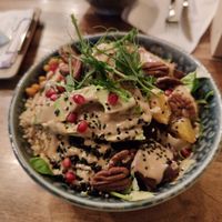 Palo Verde Bowl at Palo Verde in Prague