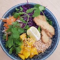 Udon salad at Palo Verde in Prague