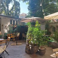 Adorbs courtyard at Palo Verde in Prague