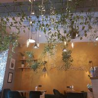 Cutee! at Palo Verde in Prague