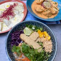   at Palo Verde in Prague