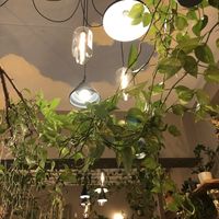 Interior   at Palo Verde in Prague