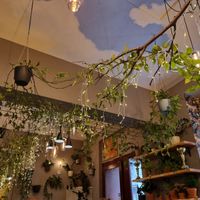 Interior at Palo Verde in Prague