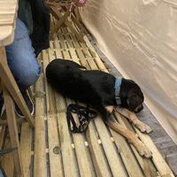   at Palo Verde in Prague