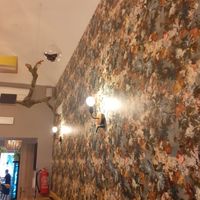  at Palo Verde in Prague