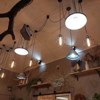  at Palo Verde in Prague