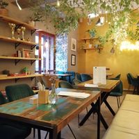 Palo Verde at Palo Verde in Prague