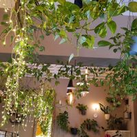  at Palo Verde in Prague