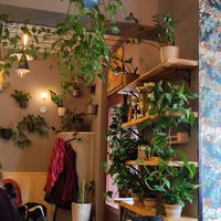  at Palo Verde in Prague