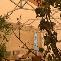 Garden  at Palo Verde in Prague