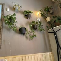   at Palo Verde in Prague