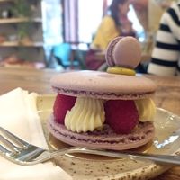  at Palo Verde in Prague