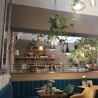   at Palo Verde in Prague