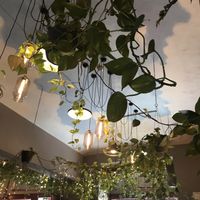   at Palo Verde in Prague