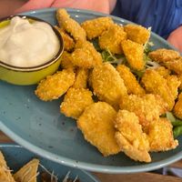   at Palo Verde in Prague