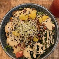 Palo verde bowl  at Palo Verde in Prague