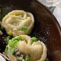  at Palo Verde in Prague