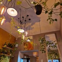  at Palo Verde in Prague