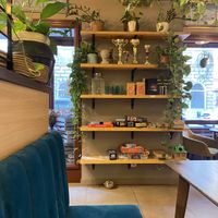   at Palo Verde in Prague