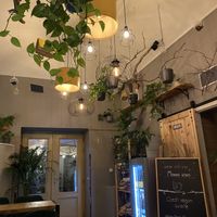   at Palo Verde in Prague