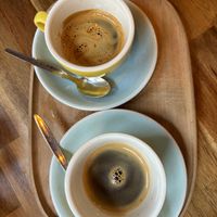   at Palo Verde in Prague