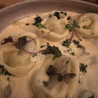 Mushroom porcellini  at Palo Verde in Prague