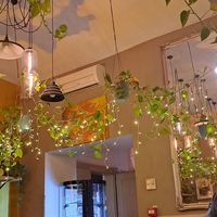 Decor at Palo Verde in Prague