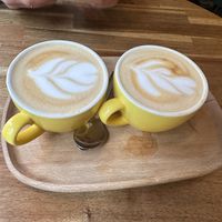 Cappuccino with oat milk   at Palo Verde in Prague