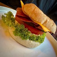  at Palo Verde in Prague