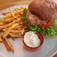  at Palo Verde in Prague