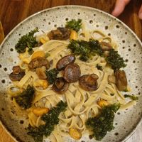  at Palo Verde in Prague