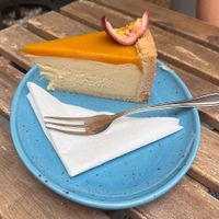   at Palo Verde in Prague