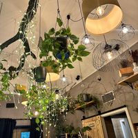   at Palo Verde in Prague