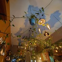  at Palo Verde in Prague