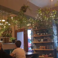  at Palo Verde in Prague