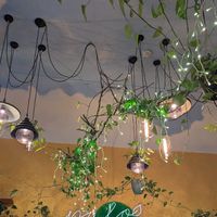  at Palo Verde in Prague