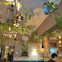  at Palo Verde in Prague