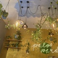   at Palo Verde in Prague