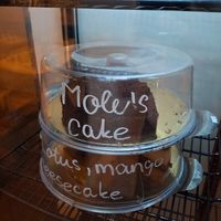 Cak at Palo Verde in Prague