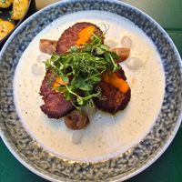  at Palo Verde in Prague