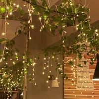   at Palo Verde in Prague