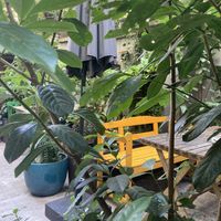   at Palo Verde in Prague