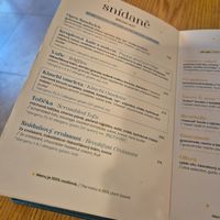 Menu at Palo Verde in Prague
